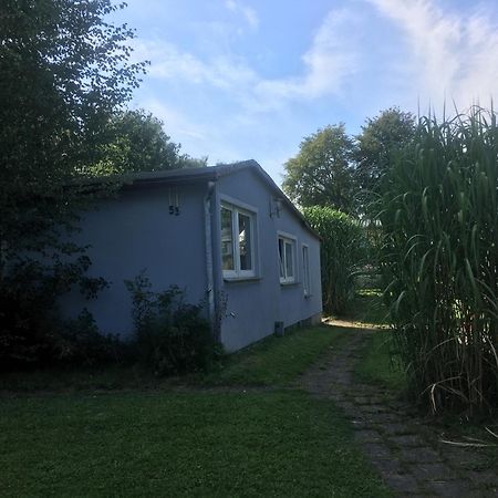 Ferienwohnung Am Strelasund Sundhagen-Niederhof Eksteriør billede